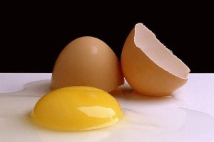 eggs-main_full1